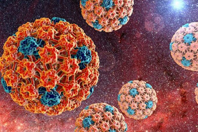 How human papillomavirus is spread